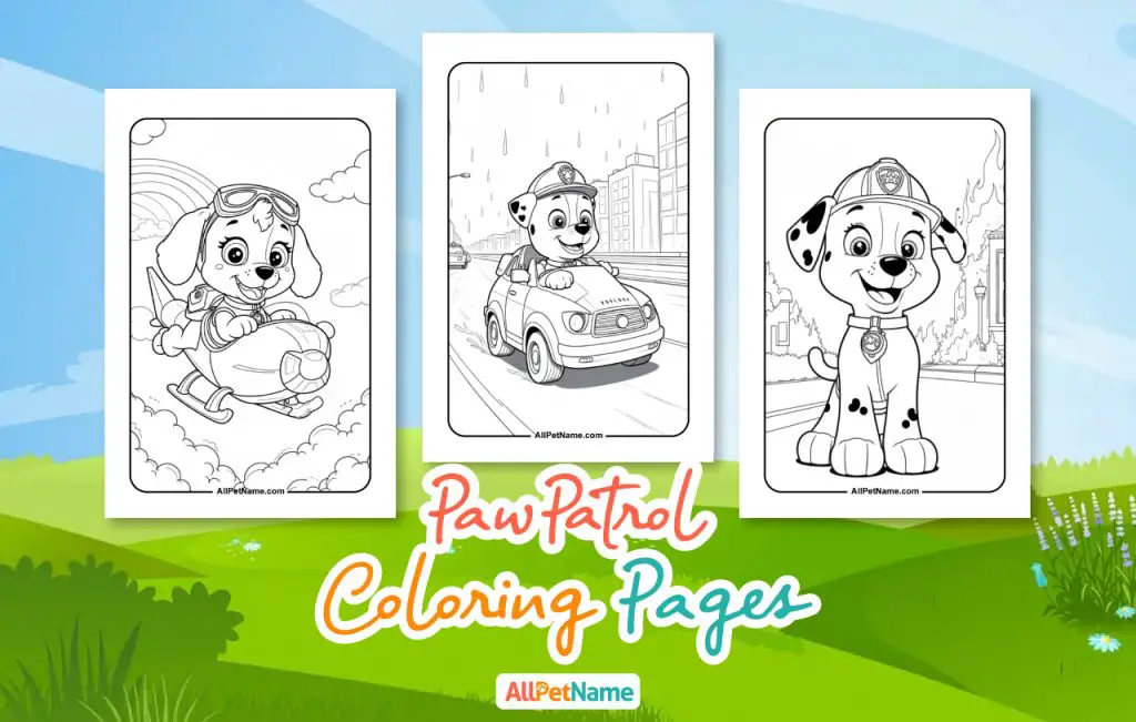 PawPetrol-coloring-pages 1