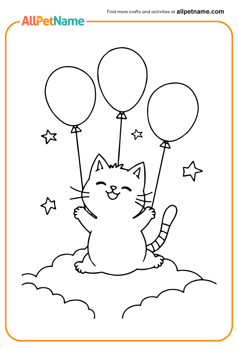Cat Cartoon Drawing