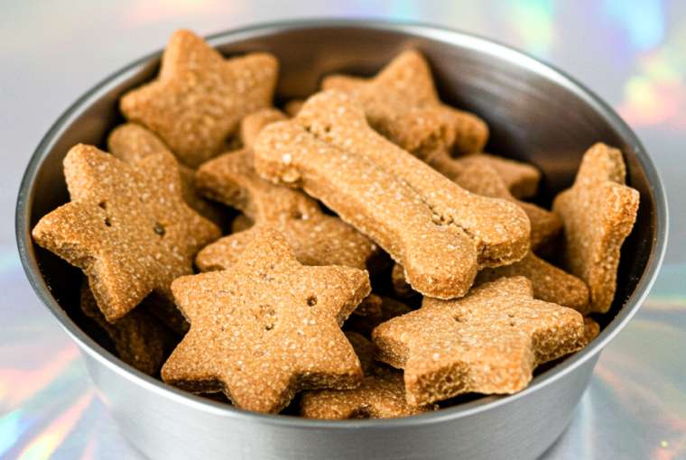 carrot-for-dogs-recipe