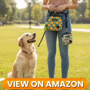 10 Best Dog Treat Pouches of 2026 6 Best-Dog-Pouch-06