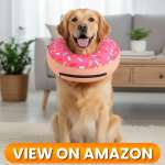 10 Best Dog Recovery Collars & Cones of 2026 1 Dog-Collar-1