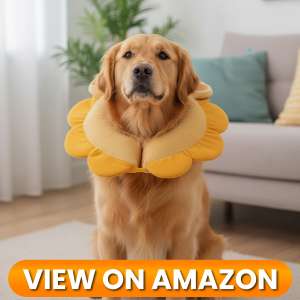 10 Best Dog Recovery Collars & Cones of 2026 12 Dog-Collar-2