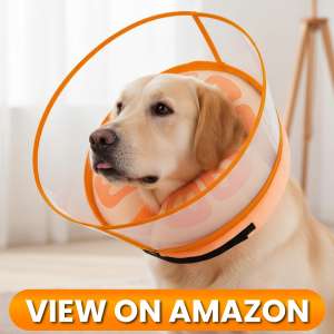 10 Best Dog Recovery Collars & Cones of 2026 13 Dog-Collar-3