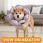 10 Best Dog Recovery Collars & Cones of 2026 4 Dog-Collar-4