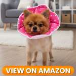 10 Best Dog Recovery Collars & Cones of 2026 6 Dog-Collar-6