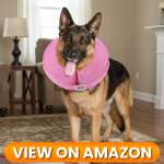 10 Best Dog Recovery Collars & Cones of 2026 7 Dog-Collar-7