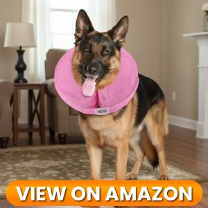10 Best Dog Recovery Collars & Cones of 2026 17 Dog-Collar-7