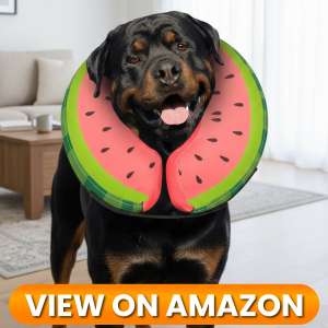 10 Best Dog Recovery Collars & Cones of 2026 18 Dog-Collar-8