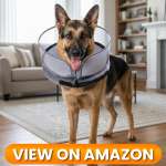 10 Best Dog Recovery Collars & Cones of 2026 9 Dog-Collar-9