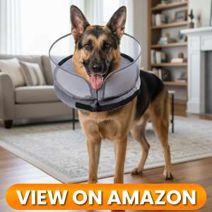 10 Best Dog Recovery Collars & Cones of 2026 19 Dog-Collar-9
