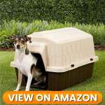 10 Best Indoor & Outdoor Dog Houses 2026 10 Dog House 10