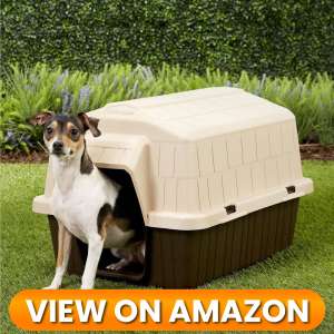 10 Best Indoor & Outdoor Dog Houses 2026 20 Dog House 10