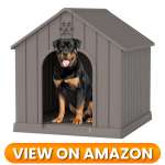 10 Best Indoor & Outdoor Dog Houses 2026 3 Dog-House-3