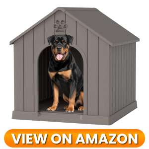 10 Best Indoor & Outdoor Dog Houses 2026 13 Dog-House-3
