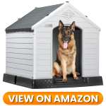 10 Best Indoor & Outdoor Dog Houses 2026 4 Dog-House-4