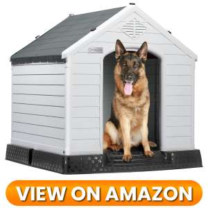 10 Best Indoor & Outdoor Dog Houses 2026 14 Dog-House-4