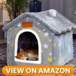 10 Best Indoor & Outdoor Dog Houses 2026 5 Dog-House-5