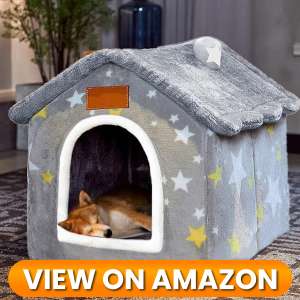 10 Best Indoor & Outdoor Dog Houses 2026 15 Dog-House-5