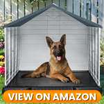 10 Best Indoor & Outdoor Dog Houses 2026 7 Dog-House-7