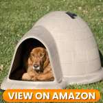 10 Best Indoor & Outdoor Dog Houses 2026 9 Dog-House-9