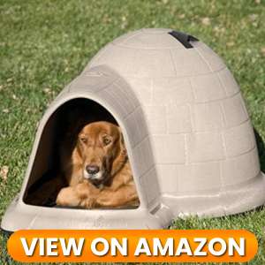 10 Best Indoor & Outdoor Dog Houses 2026 19 Dog-House-9