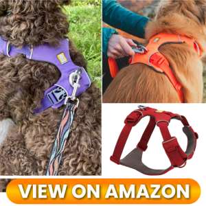 10 Best Dog Harnesses of 2026: Comfort, Control & Safety for Every Adventure 1 Best-Dog-Harness-01