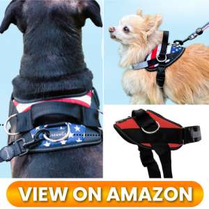 10 Best Dog Harnesses of 2026: Comfort, Control & Safety for Every Adventure 2 Best-Dog-Harness-02