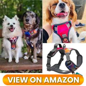 10 Best Dog Harnesses of 2026: Comfort, Control & Safety for Every Adventure 3 Best-Dog-Harness-03