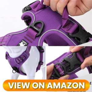 10 Best Dog Harnesses of 2026: Comfort, Control & Safety for Every Adventure 5 Best-Dog-Harness-05