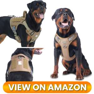 10 Best Dog Harnesses of 2026: Comfort, Control & Safety for Every Adventure 6 Best-Dog-Harness-06