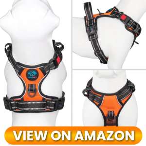 10 Best Dog Harnesses of 2026: Comfort, Control & Safety for Every Adventure 7 Best-Dog-Harness-07