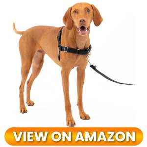 10 Best Dog Harnesses of 2026: Comfort, Control & Safety for Every Adventure 9 Best-Dog-Harness-09