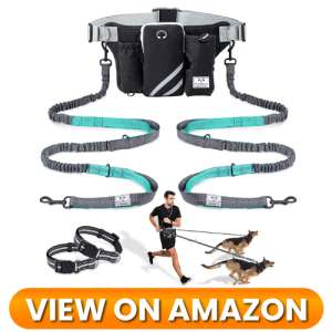 10 Best Hands-Free Dog Leash & Waist Pack Combos of 2026 3 Dog-Leash-Combo-Pack-03