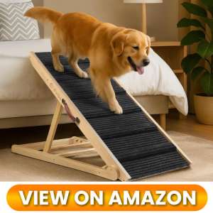 10 Best Dog Ramps for Couches: Protect Your Pup's Joints 2 Dog-Ramp-for-couch-02