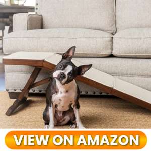 10 Best Dog Ramps for Couches: Protect Your Pup's Joints 3 Dog-Ramp-for-couch-03