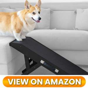 10 Best Dog Ramps for Couches: Protect Your Pup's Joints 5 Dog-Ramp-for-couch-05