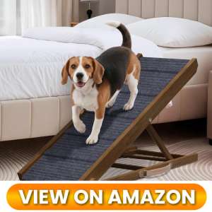 10 Best Dog Ramps for Couches: Protect Your Pup's Joints 6 Dog-Ramp-for-couch-06