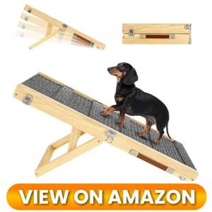 10 Best Dog Ramps for Couches: Protect Your Pup's Joints 9 Dog-Ramp-for-couch-09