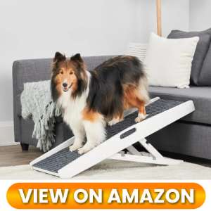 10 Best Dog Ramps for Couches: Protect Your Pup's Joints 10 Dog-Ramp-for-couch-10