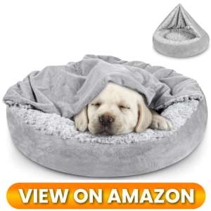 10 Best Donut Dog Beds for Small Dogs: Ultimate Cozy Nest Comparison (2026) 2 Donut-Dog-Bed-for-Small-Dogs-02