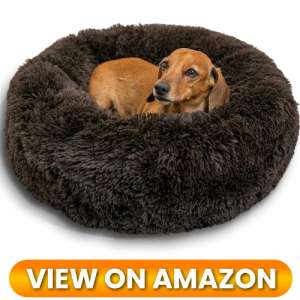 10 Best Donut Dog Beds for Small Dogs: Ultimate Cozy Nest Comparison (2026) 6 Donut-Dog-Bed-for-Small-Dogs-06
