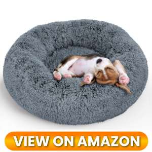 10 Best Donut Dog Beds for Small Dogs: Ultimate Cozy Nest Comparison (2026) 7 Donut-Dog-Bed-for-Small-Dogs-07