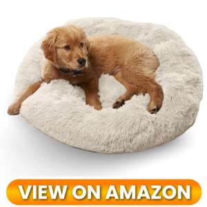 10 Best Donut Dog Beds for Small Dogs: Ultimate Cozy Nest Comparison (2026) 8 Donut-Dog-Bed-for-Small-Dogs-08