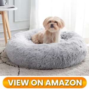 10 Best Donut Dog Beds for Small Dogs: Ultimate Cozy Nest Comparison (2026) 9 Donut-Dog-Bed-for-Small-Dogs-09
