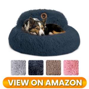 10 Best Donut Dog Beds for Small Dogs: Ultimate Cozy Nest Comparison (2026) 10 Donut-Dog-Bed-for-Small-Dogs-10