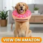 Dog-Collar-1