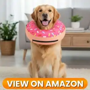 Dog-Collar-1