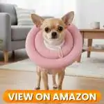 Dog-Collar-5