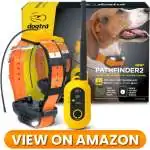 Dog-GPS-Tracker-01