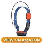 Dog GPS Tracker 02